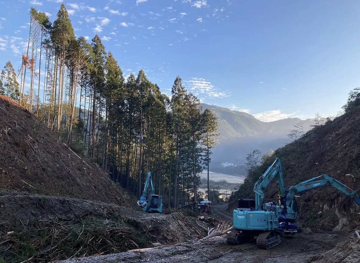 朝の伐採現場で作業する重機。奥に山と谷が見える